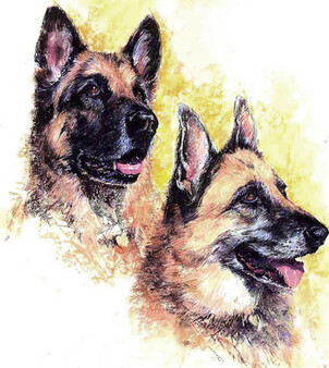 German Shepards