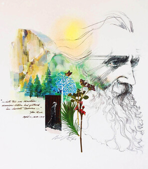 John Muir Yosemite Poster